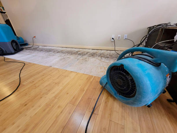 Professional Sewage Cleanup technician working in Colome, SD